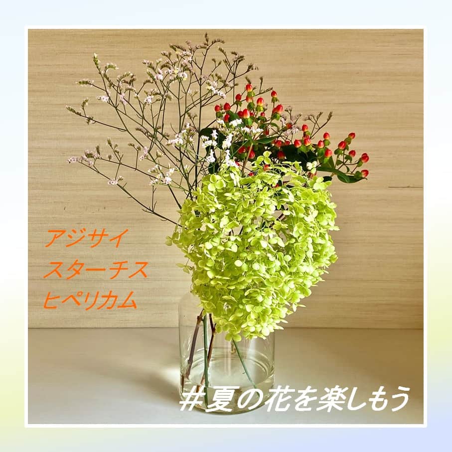 きいちゃんのインスタグラム