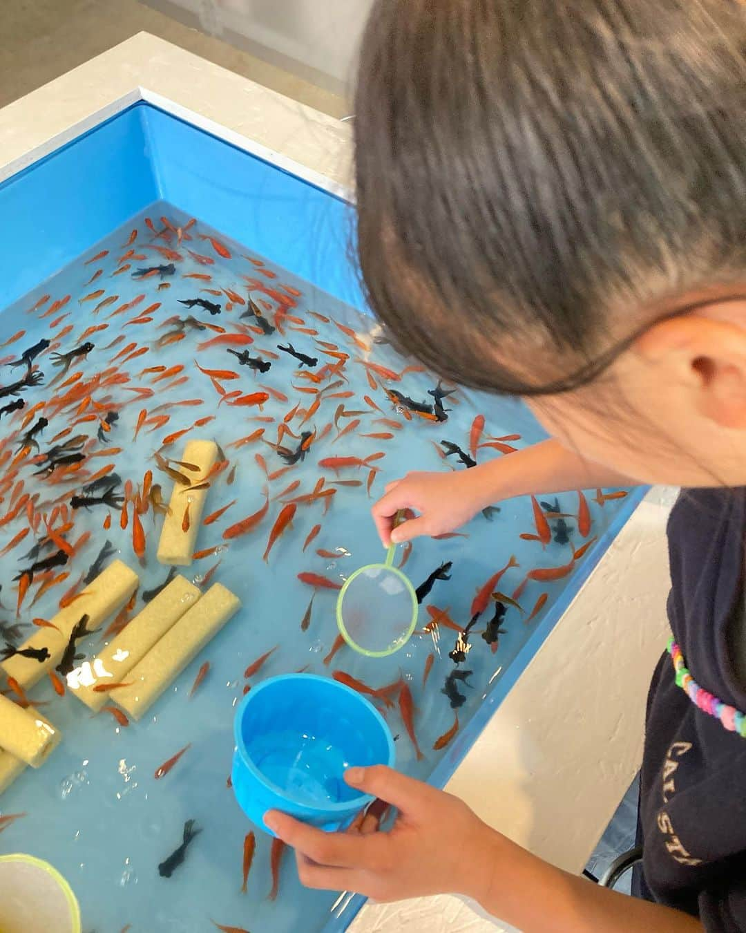 坪井慶介さんのインスタグラム写真 - (坪井慶介Instagram)「今日から中学生小学生組、夏休み‼️ 江ノ島駅周辺をフラフラしてたら、金魚すくい発見！！ やっちゃうよね〜 娘は真剣な眼差し！！ たくさんすくった👍 父ちゃんはヘラヘラしながら、大物狙って破ける😂 初日から楽しめたぜ‼️  @enoshima_kingyo  #夏休み  #金魚すくい  #江ノ島  #ムスメツボイ  #真剣  #全力娘  #オトコツボイ  #オヤジツボイ  #ヘラヘラボイ  #負け」7月21日 13時39分 - keisuke_tsuboi0916