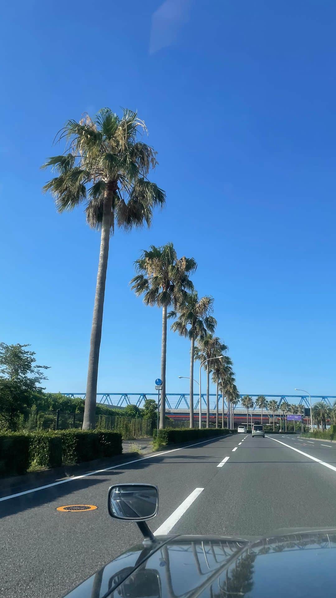 畑井咲耶のインスタグラム