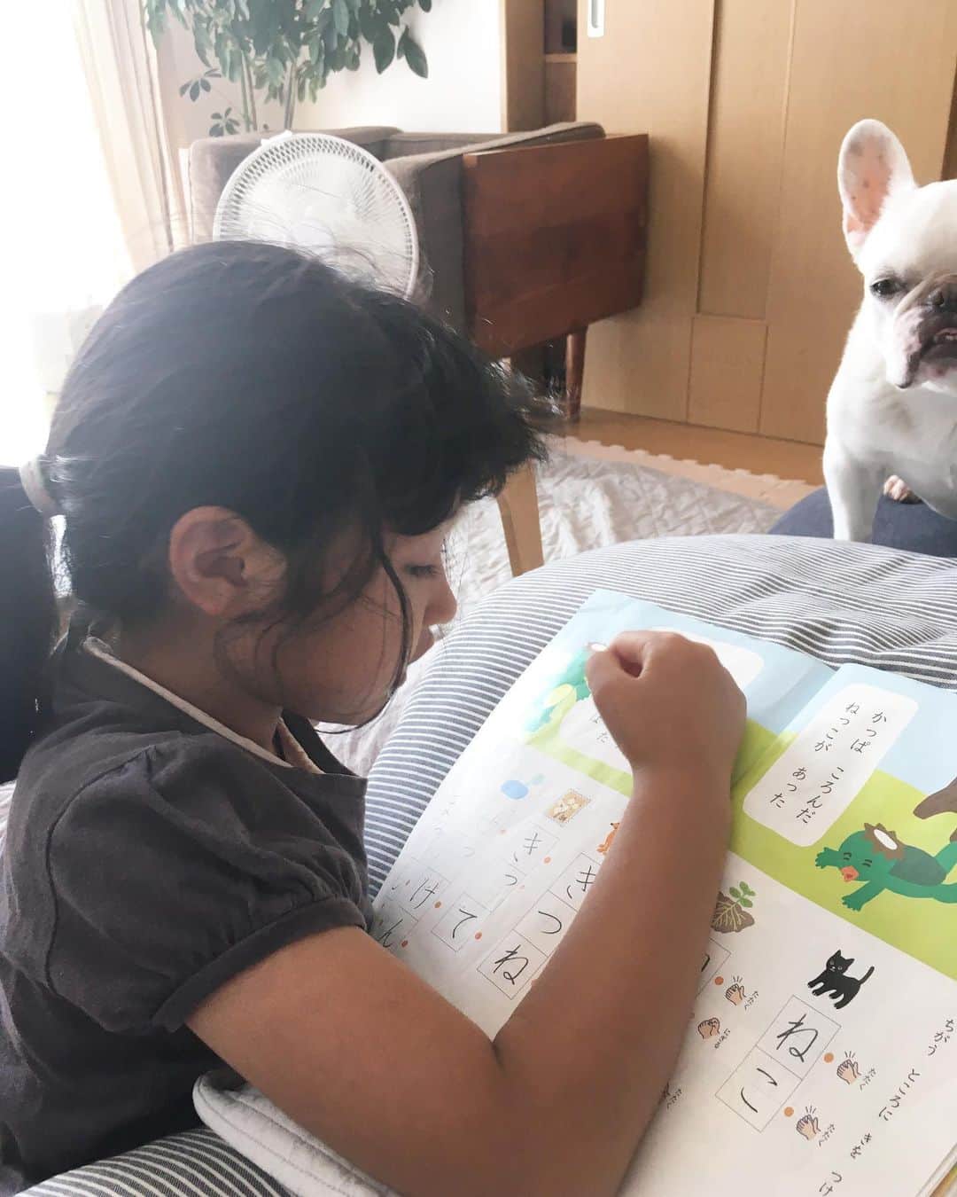 ちえぶぅたのインスタグラム：「夏休みの初日からギャーギャーうるさくて、母さん早くも限界。 ヒーリングが必要だ。」
