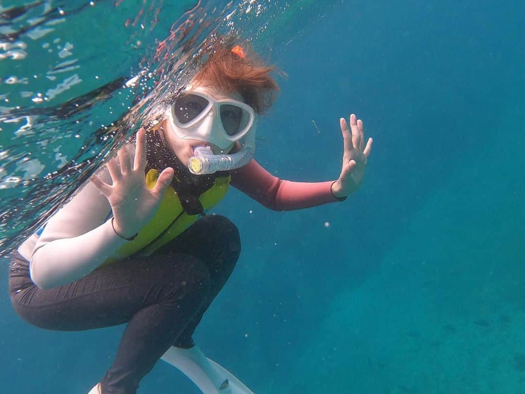 のインスタグラム：「広大な海でわざわざ縮こまったポーズ。  ごきげんよう。 みなさまいかがお過ごしですか？ 暑くないか？毎日倒れそうだよ。 …海行きたい🏖 というかコンクリートの照り返ししんどい。」