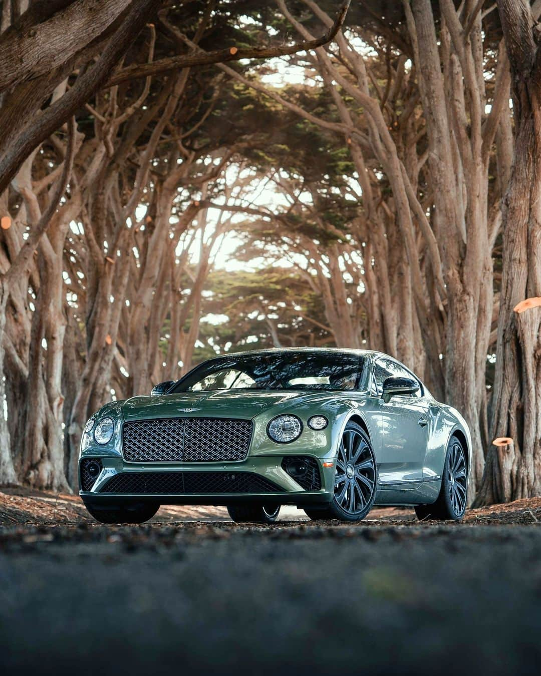 ベントレーさんのインスタグラム写真 - (ベントレーInstagram)「Street art. #ContinentalGT #Mulliner _ #Bentley Continental GT Mulliner (V8) WLTP drive cycle: combined fuel consumption: 23.3 mpg (12.1 l/100 km), combined CO₂: 275 g/km」7月22日 2時00分 - bentleymotors