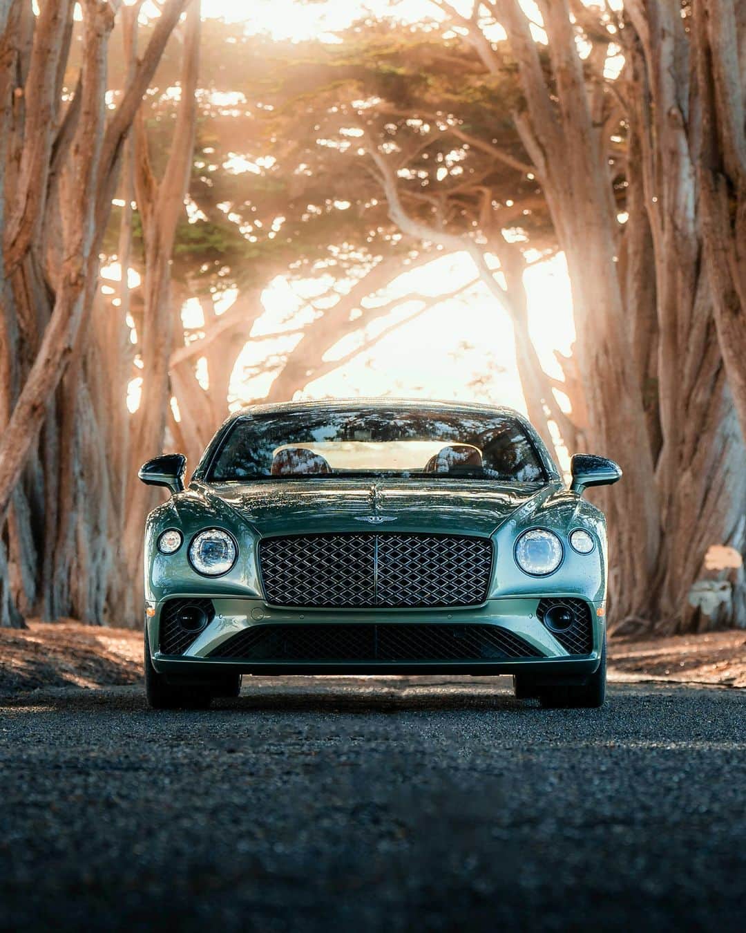 ベントレーのインスタグラム：「Street art. #ContinentalGT #Mulliner _ #Bentley Continental GT Mulliner (V8) WLTP drive cycle: combined fuel consumption: 23.3 mpg (12.1 l/100 km), combined CO₂: 275 g/km」
