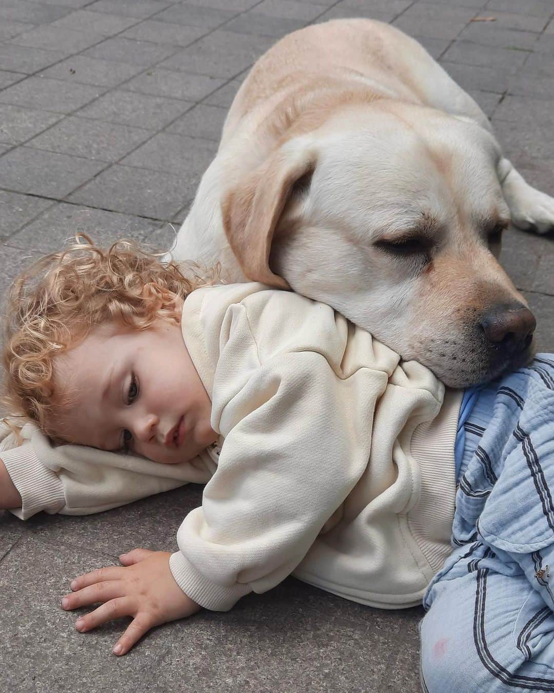 エレナ・ペルミノヴァのインスタグラム：「Story of the true friendship 🐶 Настоящая дружба выглядит так 💞」