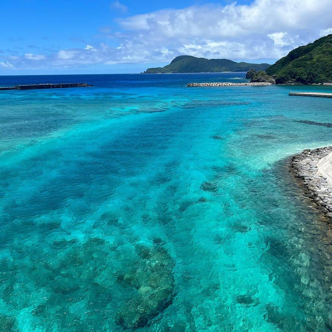 おきなわLikesのインスタグラム：「一足お先に夏になった沖縄☀️ 今日の天気最高！と急に思い立って、 ふらっと船で離島へ行ってきました🚢 ⁡ 実は那覇の泊港から高速船で50分、 フェリーで1時間半で行ける離島があるのをご存知ですか？🤭🏝️  慶良間諸島国立公園の一つである、阿嘉島（座間味村）です🐠 ⁡ 近くの座間味島や渡嘉敷島よりはポピュラーじゃないかもですが、、、 何をおっしゃいますか〜⁉️ 豊かな自然が守られていてこんなにも青い海が楽しめるんです〜🩵 この海を見た時に出た感想の「とぅるとぅる」という表現がまさに伝わるかも？🥺 ⁡⁡ 今回私はレンタサイクルをして、 橋で繋がっている慶留間島と外地島まで足を伸ばしてみましたが、 ほとんどの人は北浜（ニシバマ）ビーチでシュノーケルを楽しんでました🩵  北浜ビーチはライフセーバーの方がいて、 ビーチに出る前に波の状況を教えてくれるので安心して楽しめますよ🐠🪸 ⁡ ちなみに、島にはレンタサイクル屋さんが3店舗しかなく、 タクシーも走っていないため、訪れる際は事前に予約することをオススメします💡 （後ろに並んだ人は自転車がなくなって断られてた🥲） ⁡ ケラマジカも歩いていたり🦌 日帰りでも十分ゆったりとした島時間を楽しめるので、 丸一日何しようかな〜ってときにぜひ訪れてみるのはいかがでしょうか？🐢 ⁡ ✜ 𖣯 ✜ 𖣯 ✜ 𖣯 ✜ 𖣯 ✜ 𖣯 ✜ 𖣯 ✜ 𖣯 ✜ 𖣯 ✜ ⁡ 沖縄のこと、「ちょっと好き」から「もっと好き」に。 ⁡ フォローしてね🌺 @okinawa_likes ⁡ ✜ 𖣯 ✜ 𖣯 ✜ 𖣯 ✜ 𖣯 ✜ 𖣯 ✜ 𖣯 ✜ 𖣯 ✜ 𖣯 ✜  #おきなわLikes #沖縄 #沖縄観光 #沖縄旅行 #沖縄好きな人と繋がりたい #okinawa #沖縄絶景 #沖縄絶景スポット #阿嘉島 #慶留間島 #慶良間諸島　#ケラマブルー #ケラマジカ #沖縄離島  #ブルーチャージ」