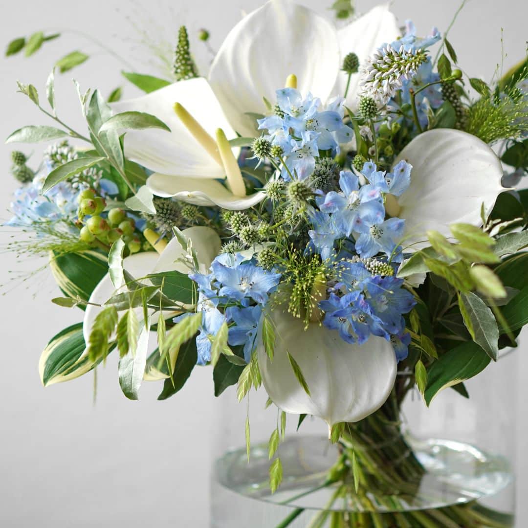 AOYAMA_HANAMOのインスタグラム：「透け感のある花びらと、ブルーの花色が涼しげなデルフィニウム。 デルフィニウム（Delphinium）の語源は、ギリシャ語でイルカを意味する「Delphis」。 咲く前のつぼみの形がイルカに似ていることから、その名前がつけられたと言われています。 天然で青い色素を持つ切り花の種類はそれほど多くないので、青い花束やアレンジメントを製作する際はとても重宝する花材です。 ・ 透明感のあるデルフィニウムはこの時期おすすめの花。ぜひ、皆さまもお楽しみください。 - - - #aoyamahanamo #青山花茂 #お花のある生活 #花が好きな人と繋がりたい #花を飾ろう #花のある暮らし #花のあるくらし #花のある日常 #癒しの花 #季節の花 #旬の花 #花とおうち時間 #花贈り #フラワーギフト #花の贈り物 #アンスリウム #リシマキア #デルフィニウム #ブルーベリー #ロシアンオリーブ #スモークグラス #グリーンスケール #ナルコユリ #エリンジューム #ブーケ #ナチュラルブーケ #クラッチブーケ #夏の花 #夏の花束 #夏のブーケ」