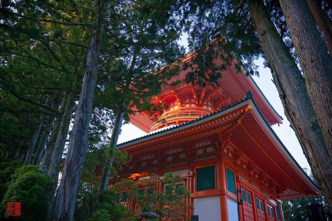 Visit Wakayamaのインスタグラム：「. History, culture, faith, and nature meet at Koyasan. 📸 @qoo.inc 📍 Danjo Garan Sacred Temple Complex, Wakayama . . . . . #discoverjapan #unknownjapan #instajapan #landscape #japan #japantrip #japantravel #beautifuldestinations #wakayama #wakayamagram #explore #adventure #visitwakayama #travelsoon #visitjapan #stayadventurous #igpassport #explorejapan #lonelyplanet #sustainabletourism #summerinjapan #worldheritage #koyasan #spiritualjourney #shukubo #templestay #pilgrimage #japanesetemple #danjogaran #sacredsitesjapan」