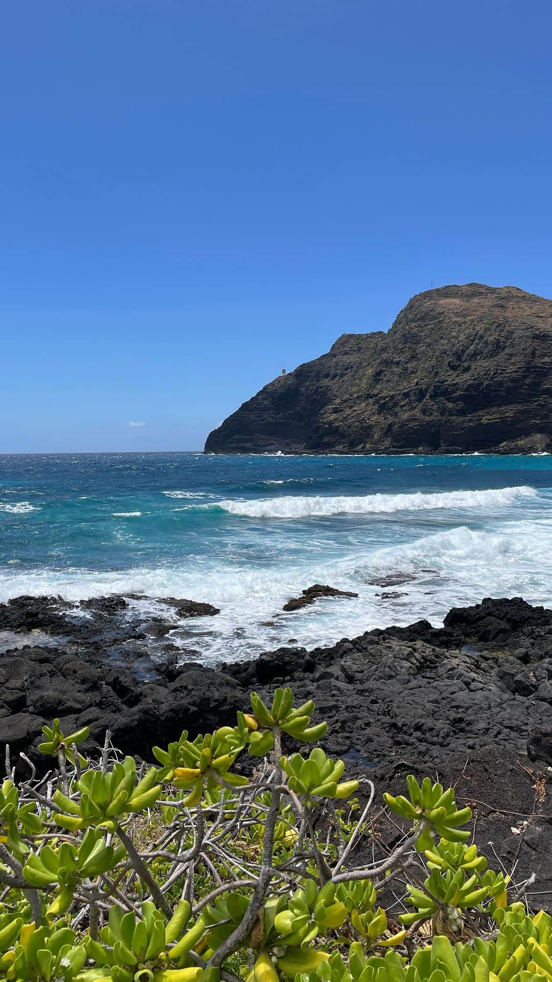 ハワイアン航空のインスタグラム：「Happy #AlohaFriday ! そろそろ#ビタミンsea が足りなくなっていませんか？  #そろそろハワイへ #ハワイ旅行 #ハワイの風景 #ハワイ気分 #ハワイ好きな人と繋がりたい」