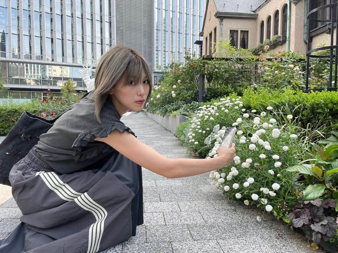 原あやのさんのインスタグラム写真 - (原あやのInstagram)「名前を知らない白ボンボンの花！  #かわいいね #花#散歩の途中#東京散歩#散歩道の花#ロングスカート#サイドライン#カジュアル#ナイロン#ボブ#グレージュ#旅行に行きたい」7月21日 19時09分 - ayano_hara_69