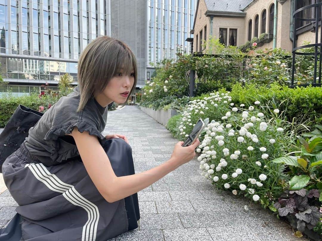 原あやののインスタグラム：「名前を知らない白ボンボンの花！  #かわいいね #花#散歩の途中#東京散歩#散歩道の花#ロングスカート#サイドライン#カジュアル#ナイロン#ボブ#グレージュ#旅行に行きたい」