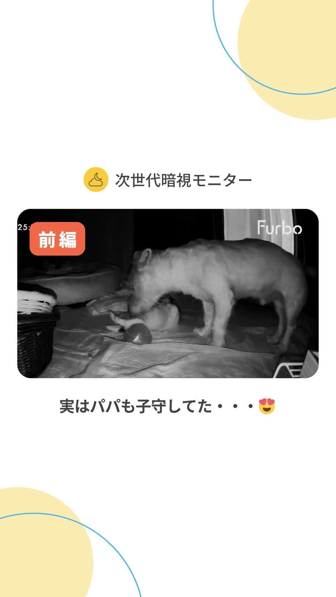 Furbo ドッグカメラのインスタグラム