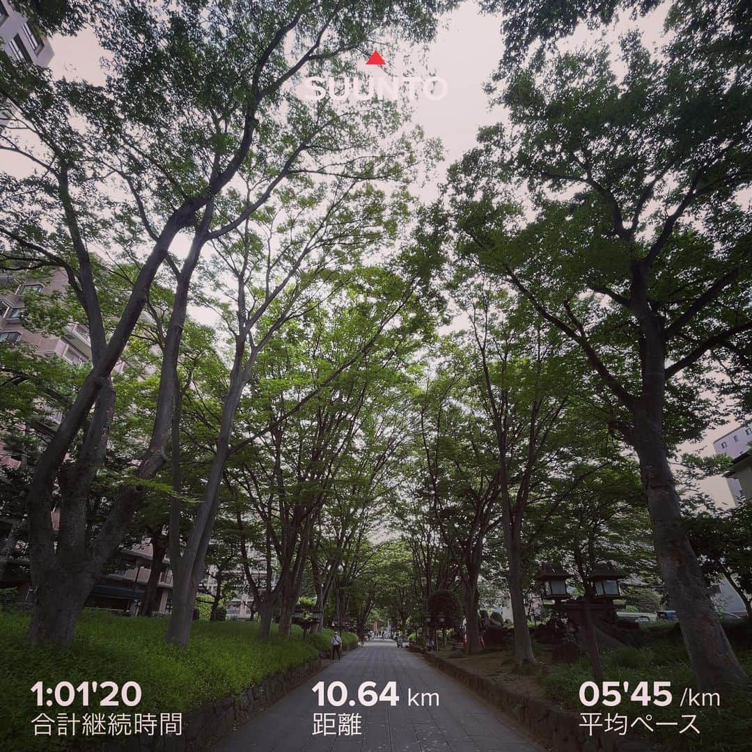 柴田聡のインスタグラム：「仕事終わりRUN♪ #NACK5 #glm795 #さいたま新都心 #氷川参道 #ハシリマスタグラム」