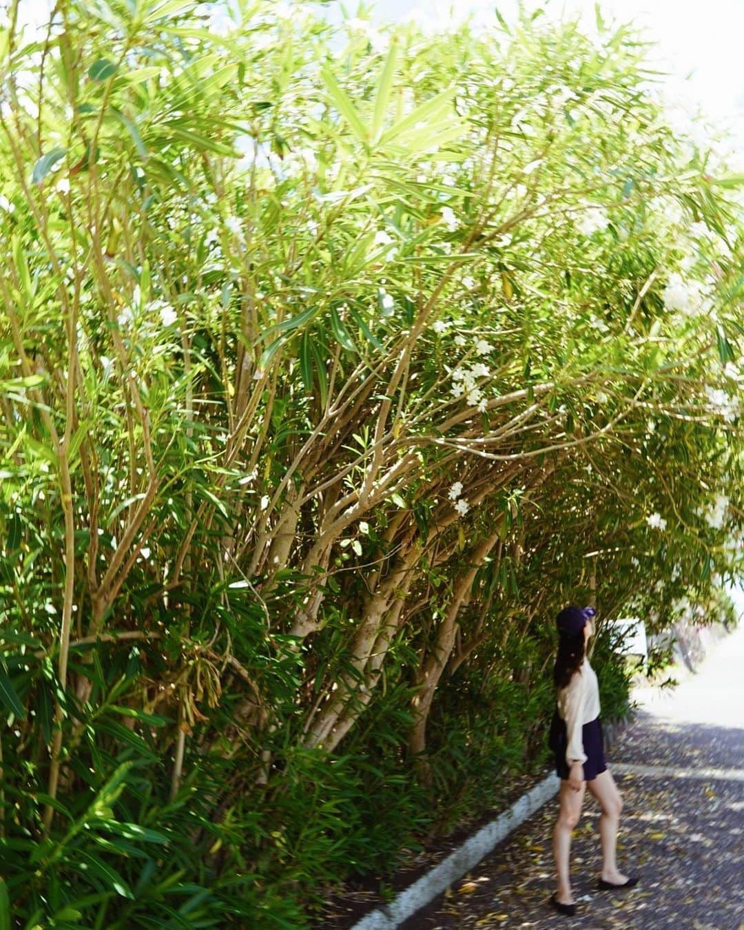 奥村真友里のインスタグラム：「鎌倉旅行、 暑過ぎて鎌倉っぽいことは特にしてないの🤫笑  写真もたくさんあり過ぎて 何を載せたらいいかわからないや😂」