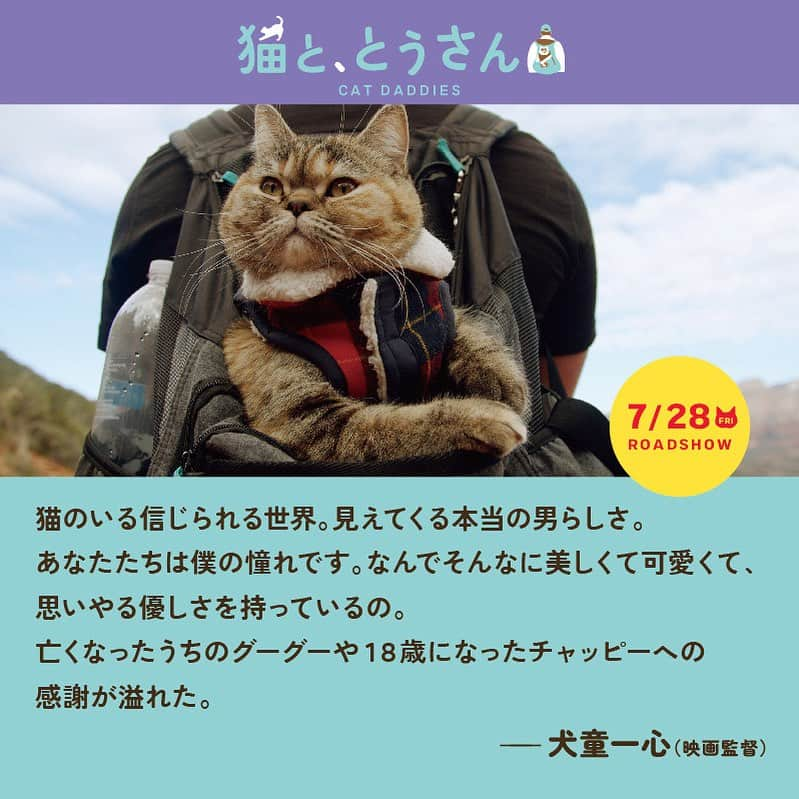 犬童一心のインスタグラム：「すごい、タイトル。」