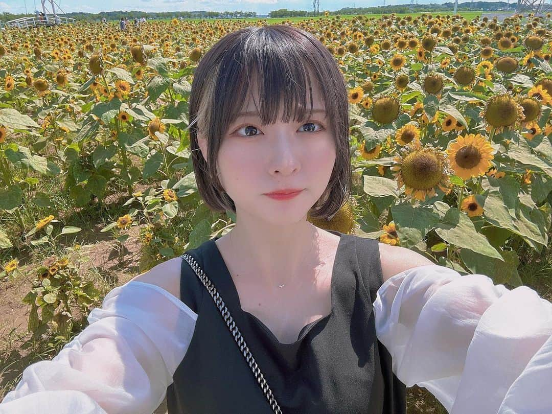 林田真尋さんのインスタグラム写真 - (林田真尋Instagram)「私の一番大好きなお花🌻」7月21日 20時18分 - _mahirohayashida