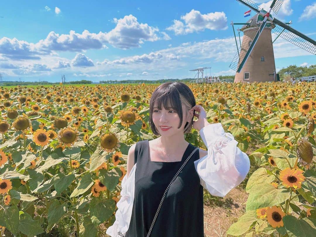 林田真尋さんのインスタグラム写真 - (林田真尋Instagram)「私の一番大好きなお花🌻」7月21日 20時18分 - _mahirohayashida