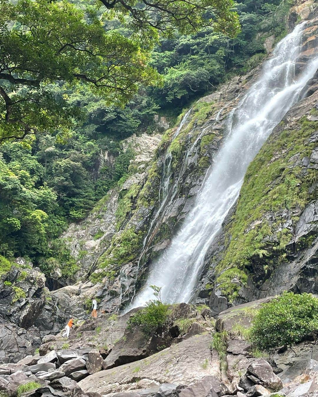 けんじるさんのインスタグラム写真 - (けんじるInstagram)「大川の滝に着ました。  みてみて人がこんなに小さいよ！  ハンパない高さから滝でぇ〜す！！  カツラだったらぶっ飛んでまぁ〜す！  #滝 #屋久島」7月21日 20時32分 - kenjiru0318