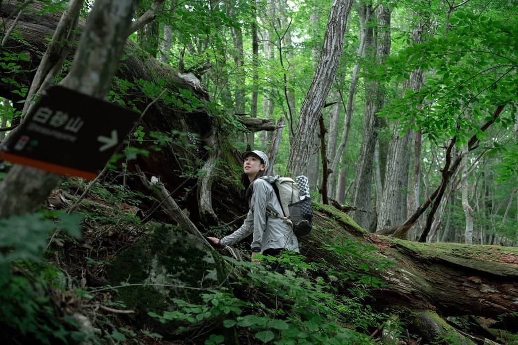 鮎川桃果のインスタグラム：「雑誌『CREA』のWEB記事に参加させて頂きました⛰️  山梨県・#白砂山 ＆#弥三郎岳 まで自然を浴びてきたよ 程よい疲労感と自然の気持ちよさのバランスで、すごいリフレッシュになった‼︎お仕事なのに笑  久しぶりのトレッキング ！ 登山道では、すれ違う時の「こんにちは」って挨拶コミュニケーションが、いいよね😌 もしもの目撃情報にもなるし、心がオープンで挨拶出来る気がする 天気にも恵まれて、壮大な景色最高でしたー🏞️  良い写真がいっぱい ぜひ見てね♩  【CREA】(前編/後編) https://crea.bunshun.jp/articles/-/43127  #山梨県 #白砂山 #弥三郎岳 #昇仙峡ロープウェイ #天空のビーチ #龍脈 #トレッキング #trekking」