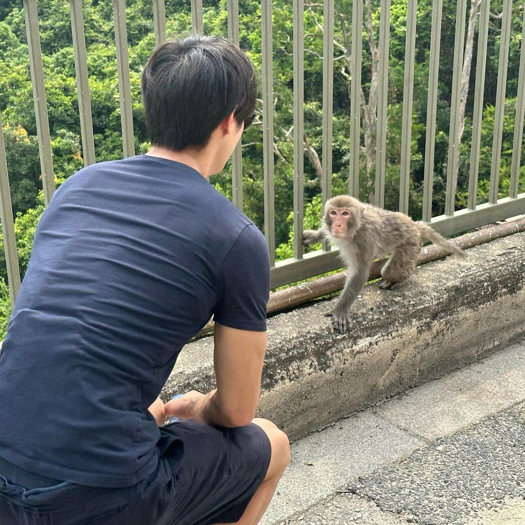 中道理央也さんのインスタグラム写真 - (中道理央也Instagram)「お猿さん🐒  Kam Shan Country Parkという公園に野生のお猿さん達が沢山居ました！ 初めて赤ちゃん🐵も見れて大興奮！！  香港は都会でもあり、自然も沢山あって住むにも旅行にも最高です🇭🇰 蒸し暑さを除けば、、  P.S.橋からお猿さんが何を見てるか気になって話しかけたら吠えられました 同族嫌悪ですかね🦍  #hongkong #money #park #beautiful #lake #mountains #animals #love #japanese #model #lifestyle」7月21日 21時08分 - lion_nakamichi