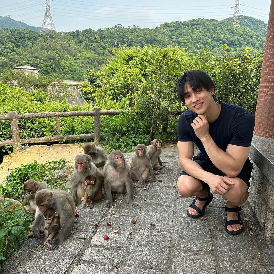 中道理央也のインスタグラム：「お猿さん🐒  Kam Shan Country Parkという公園に野生のお猿さん達が沢山居ました！ 初めて赤ちゃん🐵も見れて大興奮！！  香港は都会でもあり、自然も沢山あって住むにも旅行にも最高です🇭🇰 蒸し暑さを除けば、、  P.S.橋からお猿さんが何を見てるか気になって話しかけたら吠えられました 同族嫌悪ですかね🦍  #hongkong #money #park #beautiful #lake #mountains #animals #love #japanese #model #lifestyle」