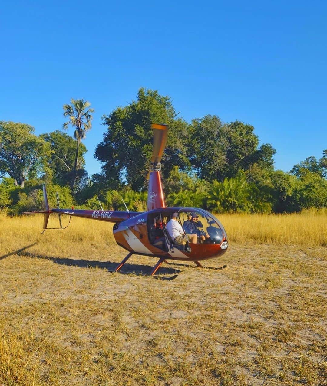 比嘉バービィさんのインスタグラム写真 - (比嘉バービィInstagram)「Exploring the Okavango Delta by helicopter was absolutely amazing 🚁  地球最大級の湿地帯 #オカバンゴデルタ 空から眺めてみると…そこは動物の宝庫だった⁉︎  #世界ふしぎ発見 #ボツワナ 明日(7/22)夜9:00〜放送です💁‍♀️  . . #ミステリーハンター 久々の#ドアなしヘリコプター 🚁 #迫力すごすぎます  #高所恐怖症とかもう言えない #ペットボトル 落ちるんじゃないかと ずっとビビってたのはここだけの話🤫 #野生動物 #Barby旅行記」7月21日 21時40分 - barby724
