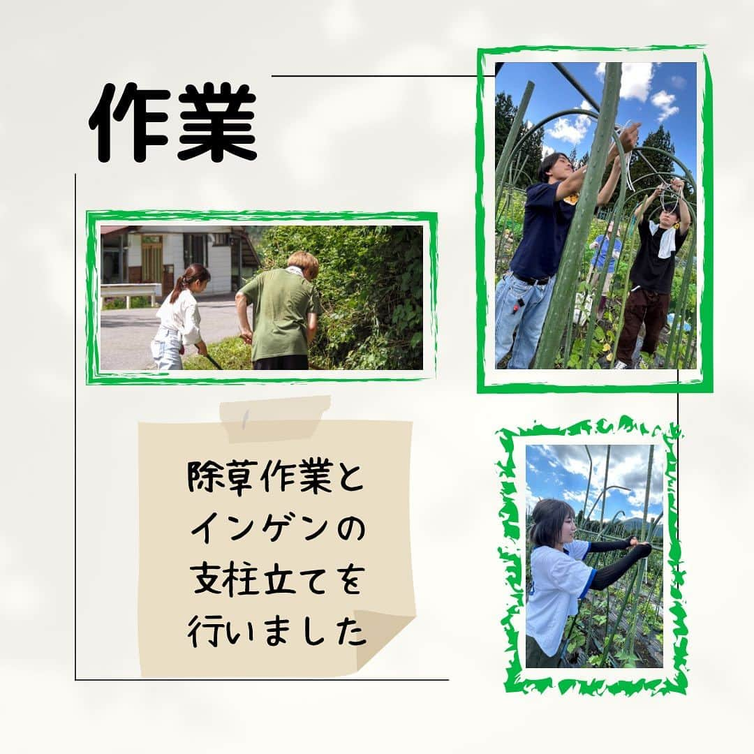 共愛COCOさんのインスタグラム写真 - (共愛COCOInstagram)「7月16日（日）みまもり隊  今回の見守り隊では平出の人達にCOCOのメンバーのプロフィール配りと深津さんの家でいんげんの支柱立てのお手伝いをしました。私にとっての初めての見守り隊で、とても緊張していましたが、先輩方や平出の方々がみんなとても優しくて楽しく作業を進めることができました。今回はとても暑い中の作業で農業の大変さを学ぶことができました。また平出の方々の力になりたいと思いました。次の見守り隊も頑張りたいです。  心理・人間文化コース1年　松本姫々  HP： https://www.kyoaicoco.com #共愛学園前橋国際大学 #共愛COCO #kyoai  #みなかみ #水上 #minakami #群馬県 #群馬 #gumma #みまもり隊 #平出 #平出集落」7月21日 22時10分 - kyoaicoco