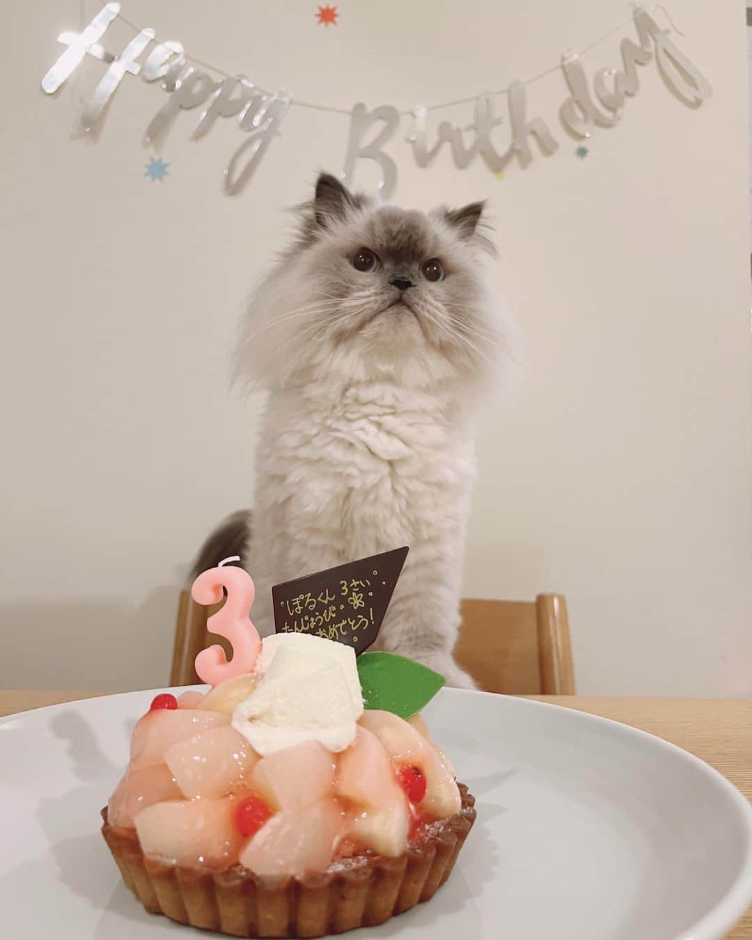 のインスタグラム：「我が家の癒し担当ぽるくんが3歳になりました！ 怒涛のお誕生日月間ラストを飾るのは末っ子ぽるぽる！  ご存知のとおりいちばん大きい末っ子です♡ 優しい性格がハンパなく…🥺 のんぼーぱん、そして私とパパのことを思ってくれていて 常に「みんなことが大好き〜！」というのが伝わります✨  こんなにかわいいぽるくんを家族に迎えられて幸せ のんちゃんのことを愛してくれる弟でほんとうに幸せ お誕生日おめでとう🎈 #happybirthday#sweetheart#mybean」