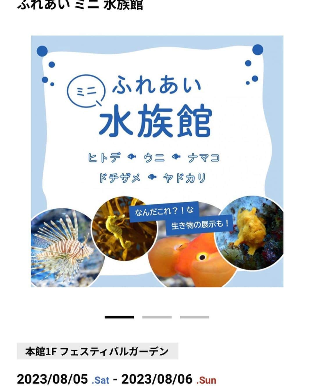 大阪・東京のアクアリウムならa.a.c.のインスタグラム：「阪急西宮ガーデンズにて、ふれあいミニ水族館を開催します🐠 . 2023.8.5(土)、2023.8.6(日) 1F フェスティバルガーデンにて 詳細はこちら https://nishinomiya-gardens.com/event/detail/221 . なんだこれ！？な、お魚を観察できたり、タッチングプールでヒトデ、ナマコ、サメも触れちゃいます🦈 . ぜひお越し下さい🐡 . . #アート #アートアクアリウム #アクアリウム #インテリア #インテリアアクアリウム #アクアリウムフラワーアレンジメント #贈り花 #花 #花のある生活 #花のある暮らし #水槽 #水槽のある暮らし #熱帯魚 #海水魚 #水槽レンタル #水槽メンテナンス #大阪 #東京  #阪急西宮ガーデンズ #西宮ガーデンズ #いどうすいぞくかん #ディスプレイ #ディスプレイデザイン  #アクアポニックス #art #aquarium #fishtank #freshwaterfish #tropicalfish」