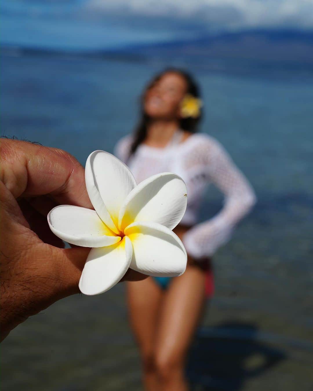アナ・チエリさんのインスタグラム写真 - (アナ・チエリInstagram)「Hawaii has my heart 🌺🌴🤍」7月21日 23時23分 - anacheri