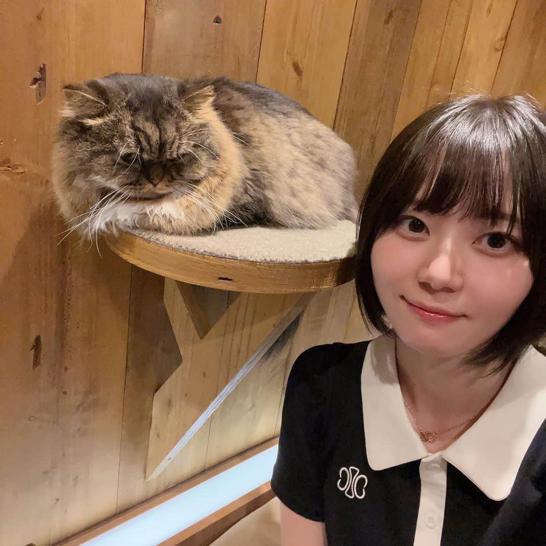 いけちゃんのインスタグラム：「🐈🐾」