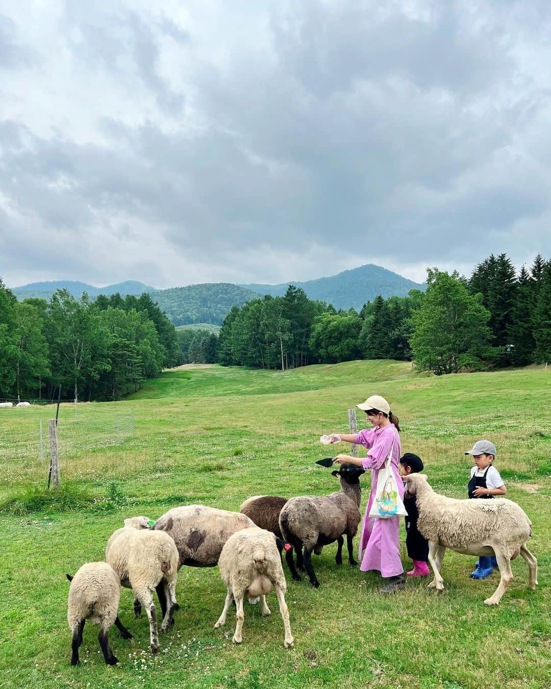 Remiさんのインスタグラム写真 - (RemiInstagram)「fun feeding the animals at the farm🐑🐐🌳 まるでニュージーランドの牧場の光景…✨ 北海道トマムで動物に囲まれる🫶🏽 トマムファームでは動物たちと沢山触れ合えたのが良い体験に。 やぎや羊に餌やりをして、初めてタッチも🙌🏼  トマムの三世代滞在、最高でした！  —————— 📍北海道トマム /Tomamu, Hokkaido 🐄 #星野リゾートトマム #リゾナーレトマム  @hoshinoresorts.tomamu @hoshinoresorts.risonare  🗓2023/7 ——————  #牧場 #北海道 #トマム #星野リゾートトマム #ファーム #星野リゾート #リゾナーレトマム #子連れ北海道 #子連れ旅行 #子連れホテル #HoshinoresortsTomamu #hoshinoresorts #hokkaido #tomamu #visitjapan #lovetabi #lovetabimama」7月21日 23時54分 - remi_912