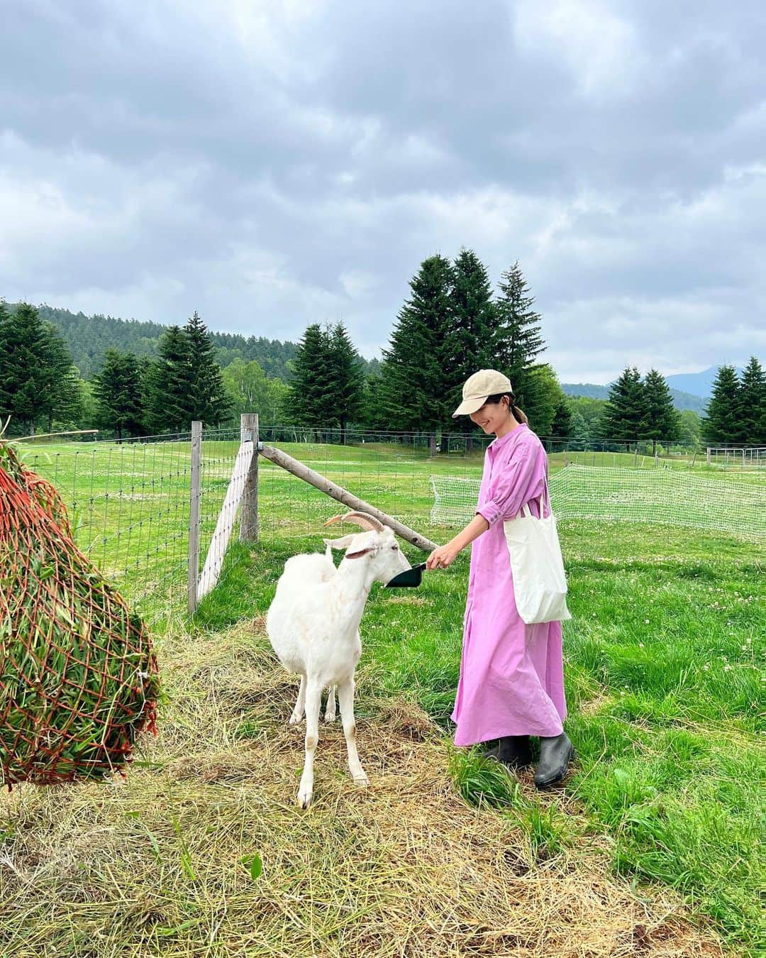 Remiさんのインスタグラム写真 - (RemiInstagram)「fun feeding the animals at the farm🐑🐐🌳 まるでニュージーランドの牧場の光景…✨ 北海道トマムで動物に囲まれる🫶🏽 トマムファームでは動物たちと沢山触れ合えたのが良い体験に。 やぎや羊に餌やりをして、初めてタッチも🙌🏼  トマムの三世代滞在、最高でした！  —————— 📍北海道トマム /Tomamu, Hokkaido 🐄 #星野リゾートトマム #リゾナーレトマム  @hoshinoresorts.tomamu @hoshinoresorts.risonare  🗓2023/7 ——————  #牧場 #北海道 #トマム #星野リゾートトマム #ファーム #星野リゾート #リゾナーレトマム #子連れ北海道 #子連れ旅行 #子連れホテル #HoshinoresortsTomamu #hoshinoresorts #hokkaido #tomamu #visitjapan #lovetabi #lovetabimama」7月21日 23時54分 - remi_912