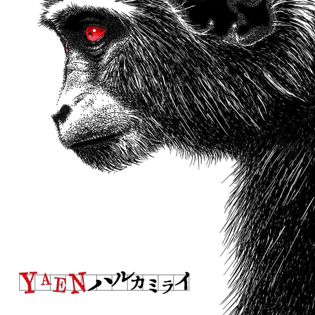 ハルカミライのインスタグラム：「digital single「YAEN」配信開始！  2023年7月22日 0:00 digital single 「YAEN」  https://lnk.to/hrkmri_YAEN」