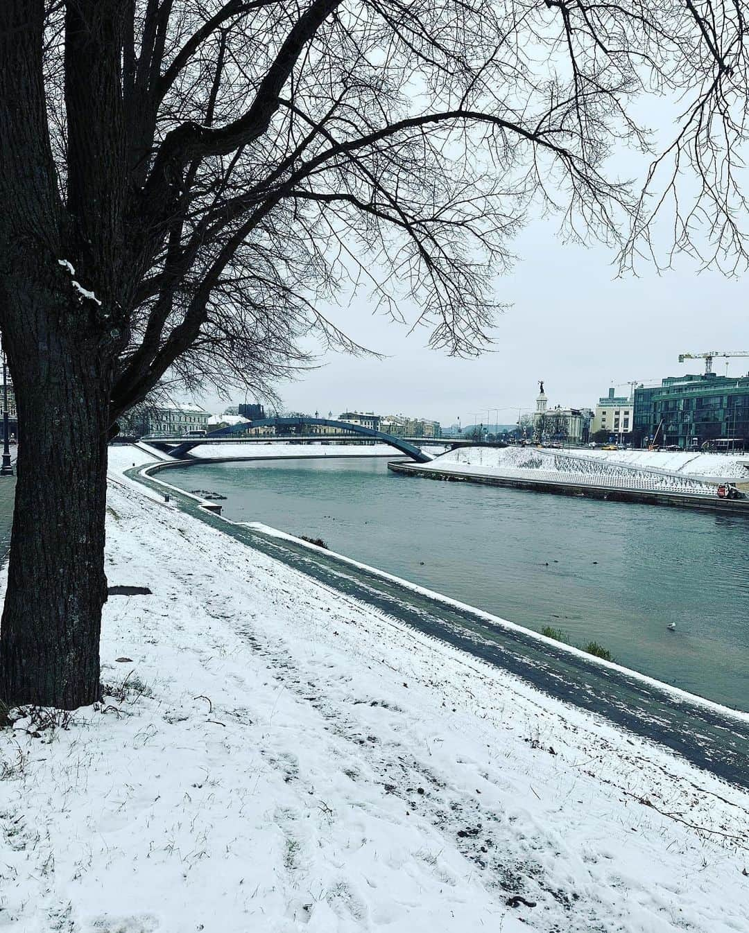 村田沙耶香さんのインスタグラム写真 - (村田沙耶香Instagram)「I will never forget visiting Vilnius, Lithuania last November. The trip was warm, intense, and very beautiful for me. When I visited, the city was a world of white snow. I was told that Lithuania is full of beautiful greenery in the summer. I hope to visit again someday.  昨年の11月、リトアニアのVilniusを訪れたことを忘れることができません。その旅はあたたかく、鮮烈で、私にとってとても美しい時間でした。 私が訪れたとき、街は真っ白な雪の世界でした。夏のリトアニアには美しい緑が溢れていると教えて頂きました。いつかまた訪れたいです。」7月22日 0時33分 - sayaka_murata_