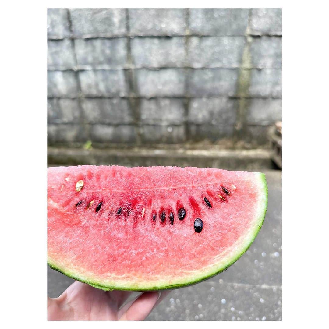 羽舞咲さんのインスタグラム写真 - (羽舞咲Instagram)「🎗Love watermelon  ⁡ 暑い日にはアイスよりスイカ🍉 ⁡ 水分もビタミンも豊富 夏には夏の果物がやっぱり体にも必要なんだね ⁡ 外で食べると 種はそのまま土に還し 水分がしたたり落ちてもそのままでいい ⁡ 皮はすぐさま牛さんのおやつに ⁡ ゴミも出なくて地球にも優しい🌏 ⁡ 今日も心豊かに 今を楽しんでいこうね♪ (*´-`*) ⁡ ⁡ ┅┅┅┅┅┅┅┅┅┅┅┅┅┅┅┅┅┅┅┅ ⁡ 🎧神宮前ラジオ 「羽舞咲のゆるゆるビューティ研究所」 （毎週水曜日オンエア） ⁡ 🇨🇱「ラテンマインド研究室」 ラテンマインドを通じて当たり前を考え直し、日本人の殻を破るzoomワークショップ ⁡ 🌴10月13日（金）〜15日（日） 「ラテンリトリート」in 五島列島 ⁡ 心を込めてお届けします♡ ⁡ @herbemi プロフィールリンクをチェック！！ ⁡ ┅┅┅┅┅┅┅┅┅┅┅┅┅┅┅┅┅┅┅┅ ⁡ #サスティナブル #風の時代 #シンプルライフ #ライフシフト #スローライフ #ヘルシーライフ #セルフラブ #ナチュラルライフ #癒し時間 #旅する人生 #サスティナブルライフ #自分らしく生きる #地方移住 #五島列島 #自然暮らし #自然栽培 #スイカ #羽舞咲」7月22日 0時30分 - herbemi