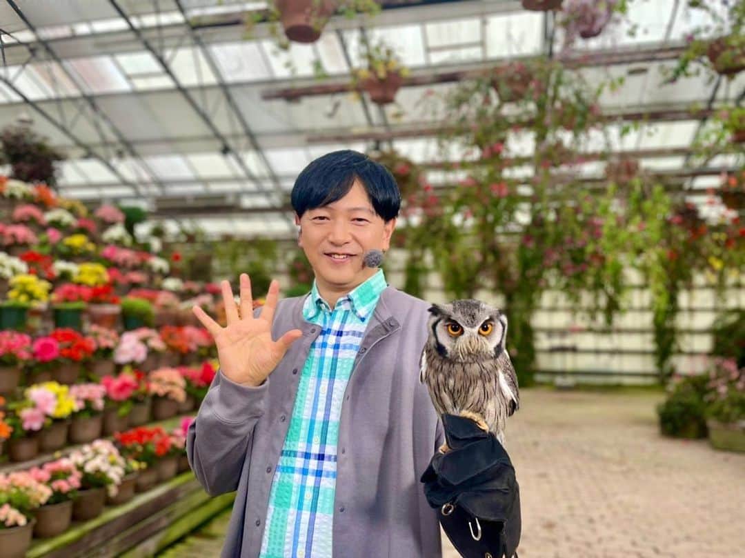 依田司さんのインスタグラム写真 - (依田司Instagram)「6月28日(水) 静岡県富士宮市にある花と鳥の楽園『富士花鳥園』から。 雨や暑さを気にせず、いち年を通して、美しい花を観賞することができます。色鮮やかに咲き誇るベゴニアは小ぶりのものから大輪のものまで、およそ１２００株。また、天井から吊るされているのは、イヤリングのような「フクシア」。その咲き姿から、古代インカでは「女王の耳飾り」とも呼ばれていました。 そして園内には、７６種３２０羽の鳥が暮らしています。今朝は、フクロウやコールダックと触れ合ってきましたよ。  #富士花鳥園 #DoCLASSE #ドゥクラッセ #依田さん #依田司 #お天気検定 #テレビ朝日 #グッドモーニング #気象予報士 #お天気キャスター #森林インストラクター #グリーンセイバーアドバンス #プロジェクトワイルド #IPCC伝導者 #japan #japantrip #japantravel #unknownjapan #japanAdventure #japanlife #lifeinjapan #instagramjapan #instajapan #療癒 #ilovejapan #weather #weathercaster #weatherforecast」6月28日 8時44分 - tsukasa_yoda