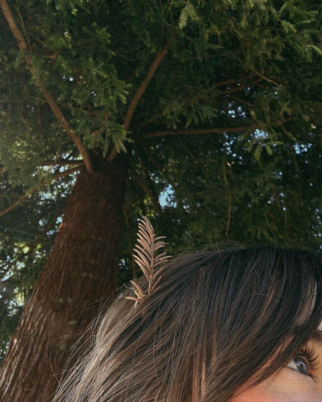 Acacia Brinleyさんのインスタグラム写真 - (Acacia BrinleyInstagram)「- Your forest floor baby 🤎」6月28日 9時36分 - acaciakersey