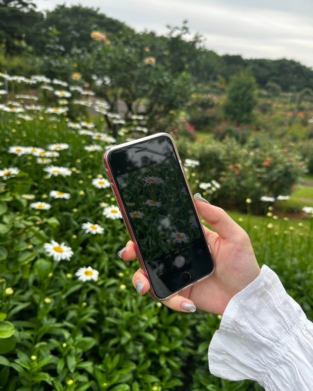 青柳透さんのインスタグラム写真 - (青柳透Instagram)「友人とお花を観てきました🥀汗かいた アガパンサスも咲いていたよ 最近出来たらしい駅に初めて降りてみたりもしました  #京成バラ園 #私服 #オフ #オフショット #今日のコーデ #fashion」6月28日 1時17分 - ds_toru17