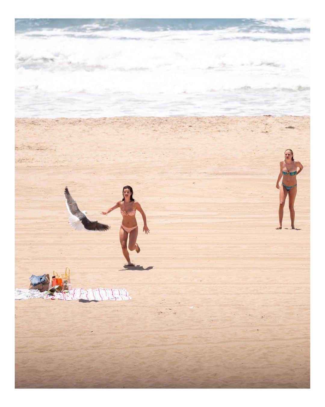 Pete Halvorsenのインスタグラム：「Summer is here...a few beach rules to live by:  1. Swim near a lifeguard tower 2. If you're caught in a riptide relax and swim parallel to shore 3. Don't leave your bag of chips unattended on your blanket when going to take a dip. 😬  A few images from the first week of summer.   👉 tell me which (if any) you find interesting in the comments...and I'll give you a bit of background on why I took it👇  Leica M11 + Leica SL」