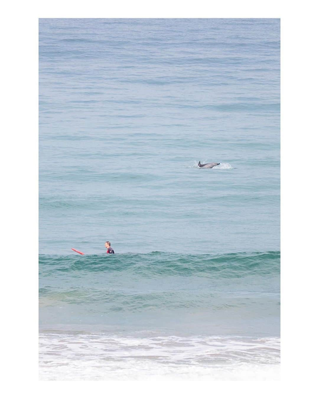 Pete Halvorsenさんのインスタグラム写真 - (Pete HalvorsenInstagram)「Summer is here...a few beach rules to live by:  1. Swim near a lifeguard tower 2. If you're caught in a riptide relax and swim parallel to shore 3. Don't leave your bag of chips unattended on your blanket when going to take a dip. 😬  A few images from the first week of summer.   👉 tell me which (if any) you find interesting in the comments...and I'll give you a bit of background on why I took it👇  Leica M11 + Leica SL」6月28日 1時28分 - petehalvorsen