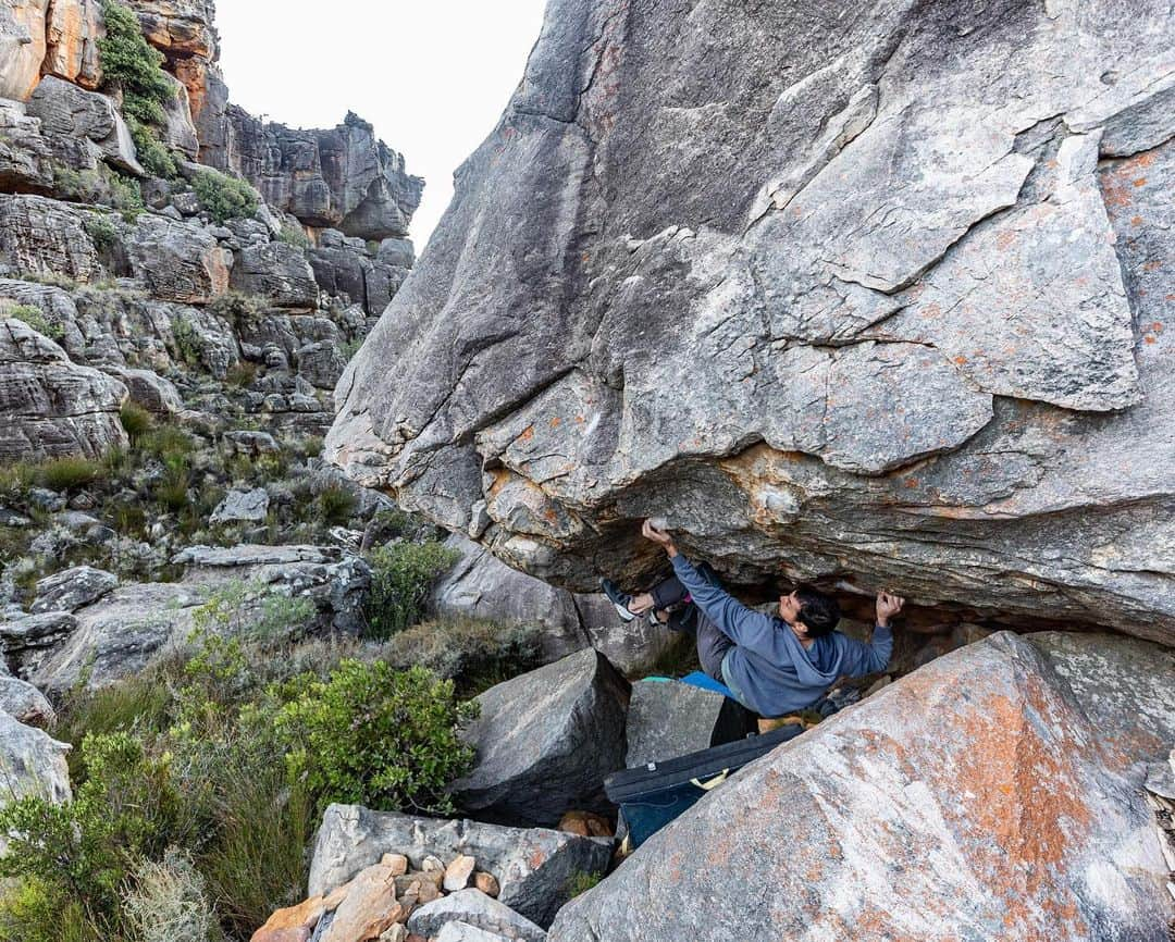 ポール・ロビンソンのインスタグラム：「Psyched to be back in Rocklands for the next month 💪💪 after 8-9 days of straight rain, the weather gods above blessed us with some great temps and I was able to make a relatively quick ascent of the very cool @dave_graham_ boulder, “Saturn Returns, 8B/V13. Psyched for a lot more sun, wind, and cold temps. #bouldering photo: @frank__decaro」