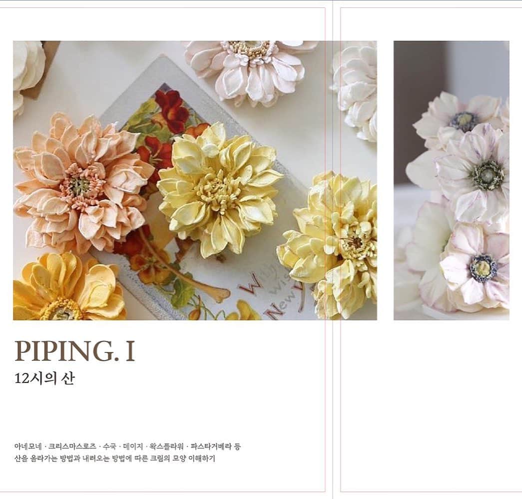 청담 수케이크 (atelier soo)のインスタグラム：「ㅡ 2023. [8,9월] piping class ⚜️ Italian meringue buttercream  꽃받침에존재하는3개의산을깊게공부할수있는반입니다. 4계절의꽃을다만나볼수있는클래스이며 오랜시간공들여만든꽃의파이핑법을 차근차근배울수있는반입니다. 자세한내용들은 프로필하단 링크로 들어오시면 내용확인가능합니다 :)  #pipingclass」