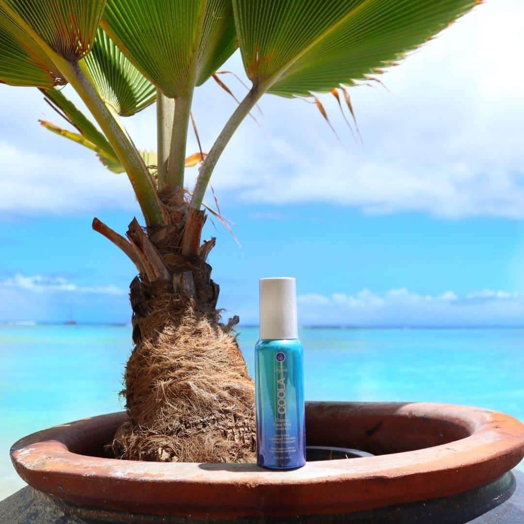 Belle Vie Hawaiiさんのインスタグラム写真 - (Belle Vie HawaiiInstagram)「COOLA Classic Face Organic Sunscreen Mist SPF50  人にも地球にも優しいオーガニックコスメブランドCOOLAのミストタイプの顔用日焼け止め☀️  植物の恵みがギュッと詰まった プラントベースのオーガニックサンスクリーンで、 メイクの上からでも使える優れもの❣️  2、3度シェイクしてシュ〜ッと振りかけるだけで、 ベタつかずに紫外線からお肌をしっかりプロテクトしてくれます💪  外出先でも簡単に使える爽やかミストが嬉しいですね😘  【ベルヴィー店頭情報】 営業時間: 午前10時〜午後8時　無休 店頭だけのお買い得商品多数有り 詳しくは店頭でお尋ねください  Open Daily 10:00am〜8:00pm Instagram in English  @belleviehawaii.en  🌺店頭販売スタッフ募集中🌺 詳細は当店HPお問い合わせフォームよりご連絡ください。  #coola  #organicsunscreen  #サンスクリーン  #日焼け止め  #サスティナブルコスメ  #オーガニックコスメ  #夏の必需品  #顔用日焼け止め」6月28日 5時43分 - belleviehawaii