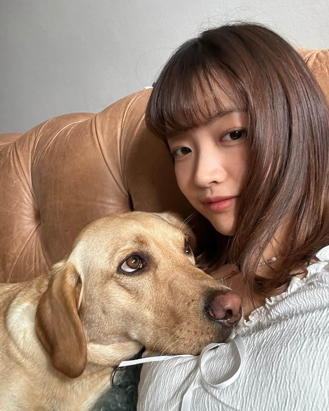 寺川里奈さんのインスタグラム写真 - (寺川里奈Instagram)「🐕🖤🤎  #dogs」6月28日 6時00分 - rina_terakawa