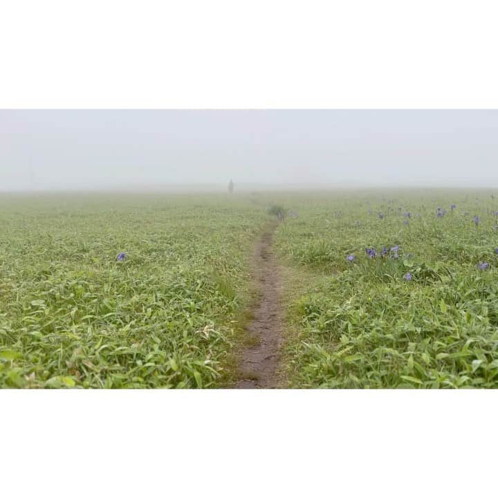 ハミルのインスタグラム：「. . 【　北の空想民族の如く　】  茶葉が育たない北で、 北方民族の茶外茶を探る旅の途中、 自分がこの景色でお茶を飲みたかった場所で 市川さんがお茶を淹れてくださる.  小さき数年かけて作りあげる記録を兼ねて、 自分の小さき夢を入れ込んでいるかの様.  市川さんの茶と茶外茶、 違う角度から少数民族の景色を 探り切り取ろうとするお姿を目の当たりにして、 たくさん気づかされる.  思考の角度を拓いてくださり、 うなずきながら旅をしている感じ.  旅と茶は欠かせない存在になってきた自分に、 やさしくたくさんの小さな点を降り注がれた様な感覚と 霧のミストを全身に浴びたこの日の朝の茶とかぶり、 人生の貴重な経験のひとつになる.  尊い時間となり、次の目的地まで、 着ていたものを干す旅ともなる.w  鹿もぴょんぴょん跳ねる. 今日のこの場所はいつもより鹿が少なかった.  #市川孝 #北の空想民族茶会」
