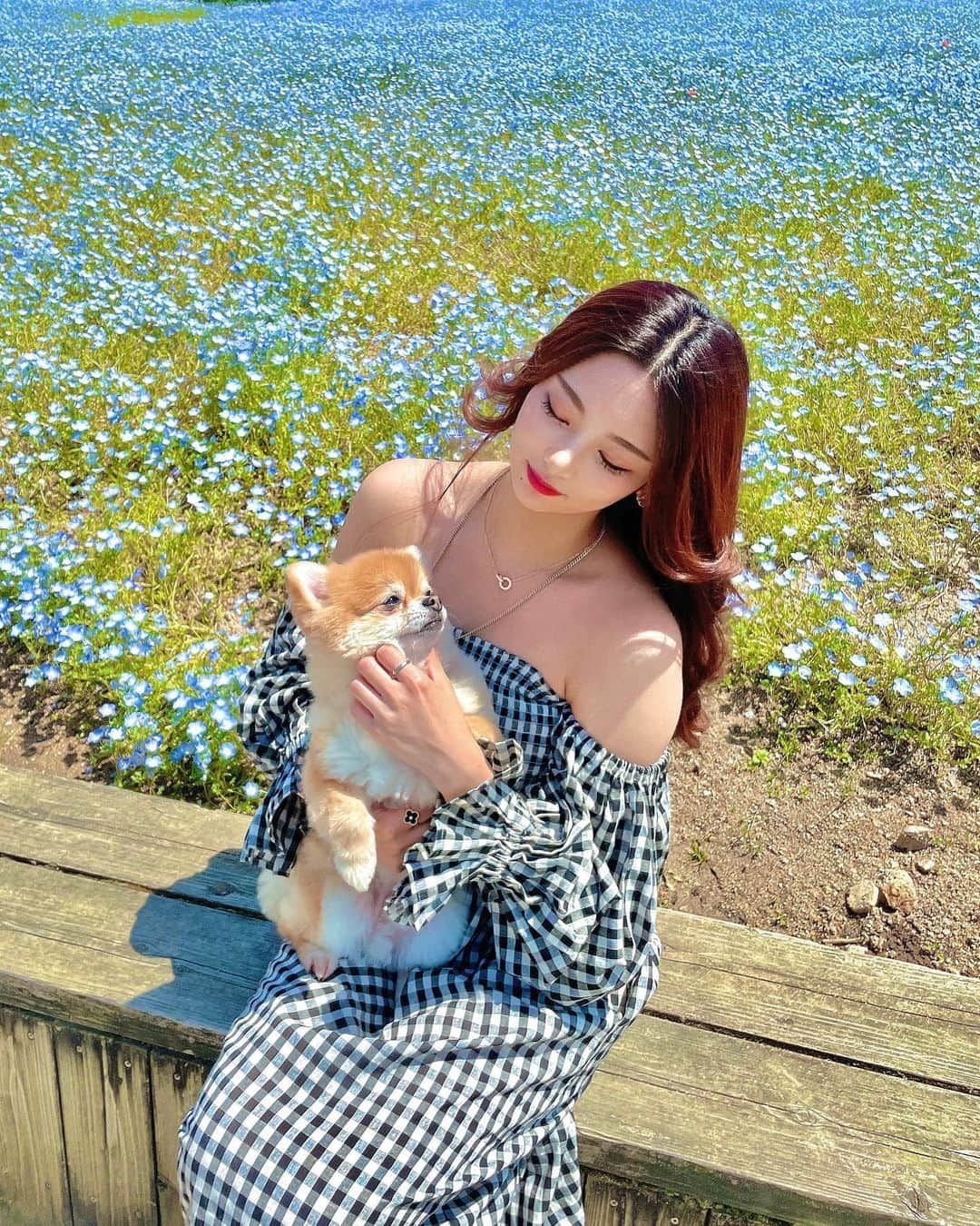 MiyakeKasumi さんのインスタグラム写真 - (MiyakeKasumi Instagram)「ネモフィラ🦋‪  綺麗だった🩵 ロナといっぱい撮った🐶   #時差投稿  #ネモフィラ  #まんのう公園  #ネモフィラブルー  #ネモフィラ畑  #香川  #香川県  #まんのう町 #国営讃岐まんのう公園  #讃岐 #ポメラニアン  #ポメチワ  #お散歩  #インスタ映え  #kagawa  #pomeranian  #🐶」6月28日 6時02分 - 1225kasumi