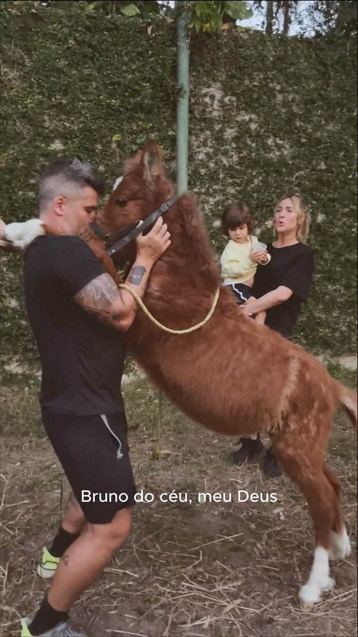 Giovanna Ewbankのインスタグラム：「O Melhor presente que eu já ganhei na vida da @gioewbank junto com a @garranimal !!  Dois cavalos bebês, Jack Bauer e Dante Brasil, novos integrantes do @ranchodmontanha 🐴🌾 @juliaarchervet parabens pelo cuidado, eles serão mt felizes!」