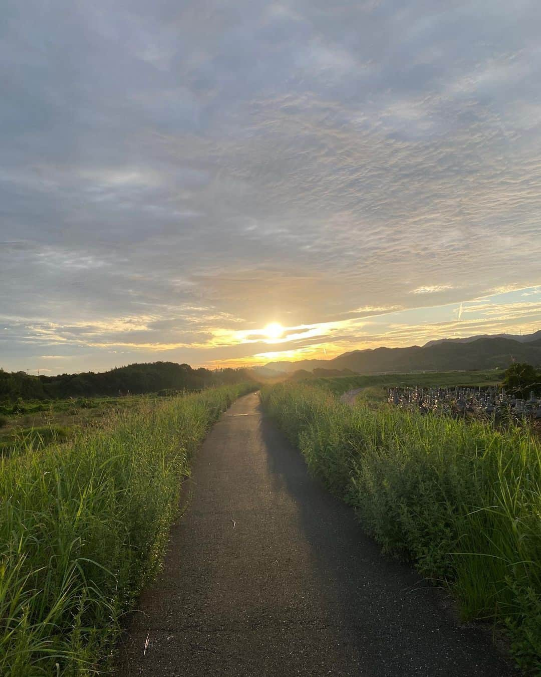 工藤まやさんのインスタグラム写真 - (工藤まやInstagram)「梅雨時期の帰国でお天気は期待していなかったけれど、今のところ晴れ間が多く、この時期の日本のフルーツのおいしさにびっくりしている。 写真は親友の旦那の実家で作っている桃。100年を超える家の敷地になる桃はつるると皮がむけたところから糖分たっぷりの蜜が溶け出す。おいしすぎる〜。こういうのはハワイにはないの！ 農家ではないけれど、最近では道の駅にも出しているらしく、これは名前をチェックして買ってほしい‼️ 松井宏樹の父、松井智行です🍑  #桃 #peach #sogood #大分帰省中 #bestfriends」6月28日 7時02分 - mayahawaii325