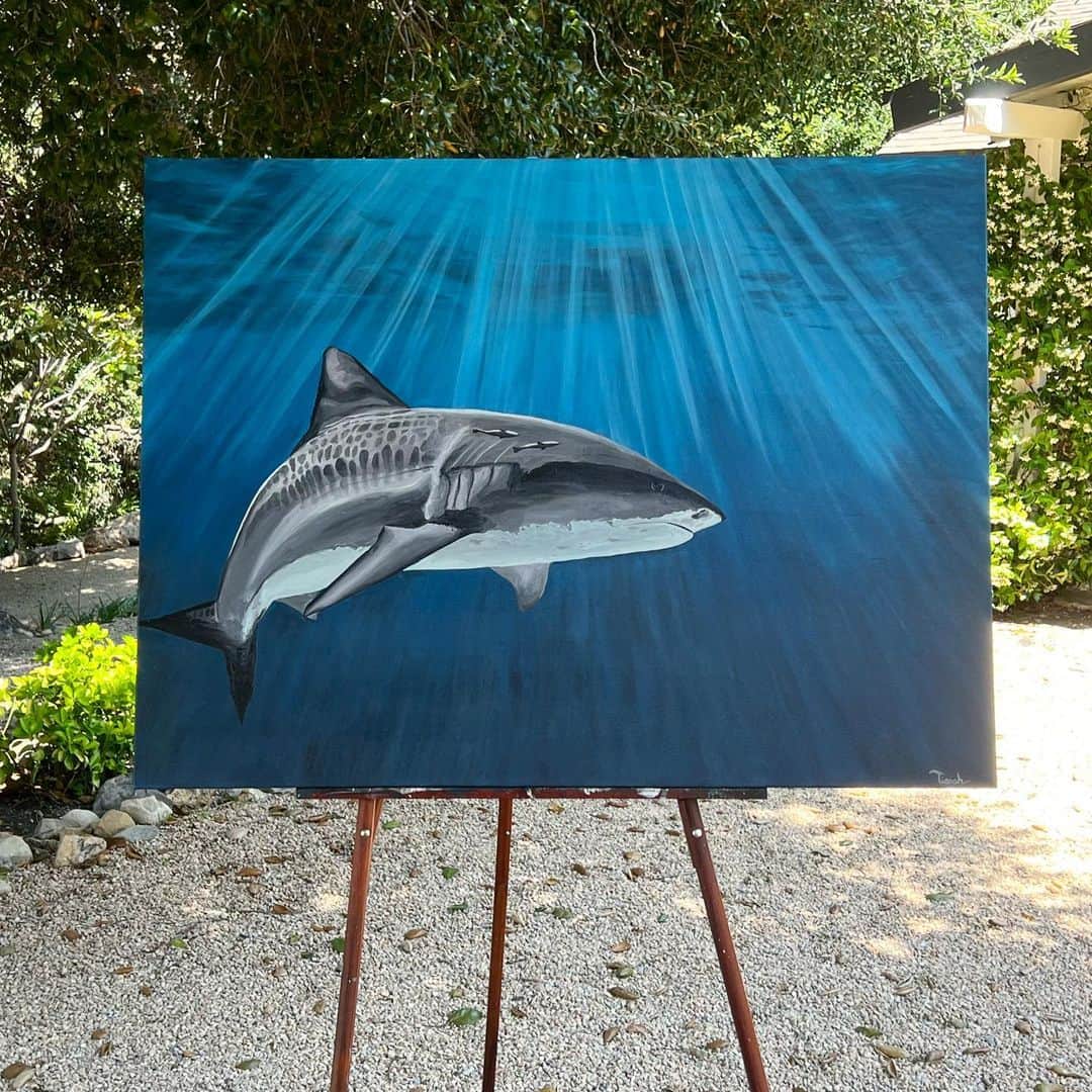 ティア・ブランコさんのインスタグラム写真 - (ティア・ブランコInstagram)「Just finished these two pieces that I named ‘Karma the Tiger Shark’ & ‘Rifles’ 💙💙💙 Painting has brought me so much peace during this time. It been so fun working on a new art portfolio for my site that is in the works now. Thank you for love on @artbytiarah 🙏🏽👩‍🎨」6月28日 7時56分 - tiablanco