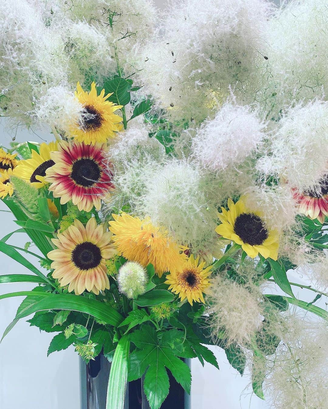 三浦泉さんのインスタグラム写真 - (三浦泉Instagram)「*  *♪¸¸.•*¨･:*ೄ·*♪¸¸.•*¨･:*ೄ*♪¸¸.•*¨･:*ೄ··*♪¸¸.•*¨･    先日の伊勢丹 サロンのお花🌻✨✨  　ひまわりのお花が夏らしく素敵でした✨✨🚢🐚  *  *♪¸¸.•*¨･:*ೄ·*♪¸¸.•*¨･:*ೄ*♪¸¸.•*¨･:*ೄ··*♪¸¸.•*¨･  #サロン #お花 #パワースポット #伊勢丹 #伊勢丹新宿店  #izumiのお花めぐり #いずみーるのお花めぐり #イズミールのお花めぐり」6月28日 8時17分 - princessizu1201